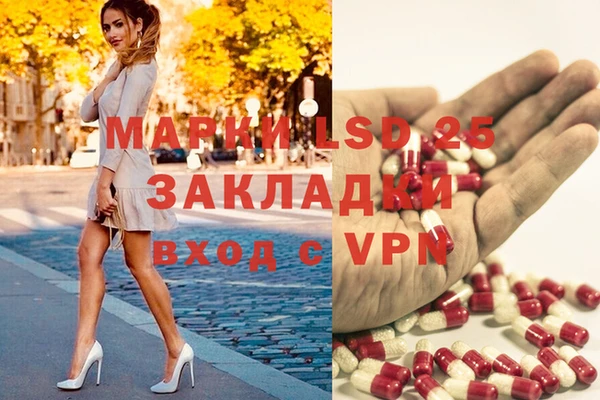 ГАЛЛЮЦИНОГЕННЫЕ ГРИБЫ Абаза