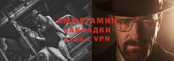 шишки Краснослободск