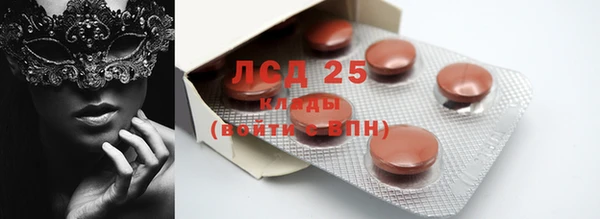 ГАЛЛЮЦИНОГЕННЫЕ ГРИБЫ Абаза