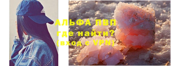 ГАЛЛЮЦИНОГЕННЫЕ ГРИБЫ Абаза