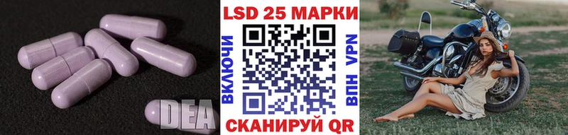 ЛСД экстази ecstasy ссылка на мегу онион Елизаветинская
